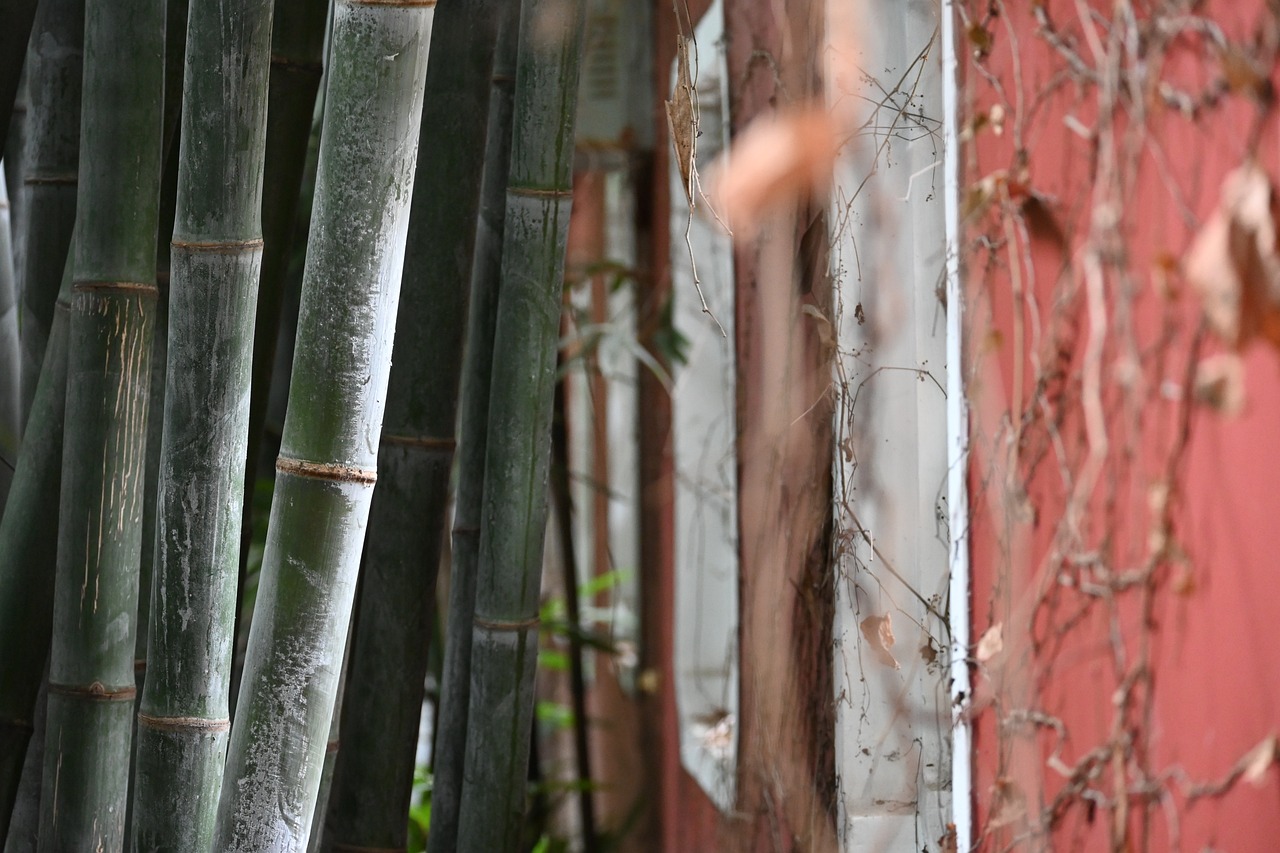 The Hidden Gardens of Japan’s Kyoto Prefecture